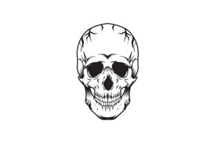 Download Vector Skull Head Sport Mascot Template - Premium Resources